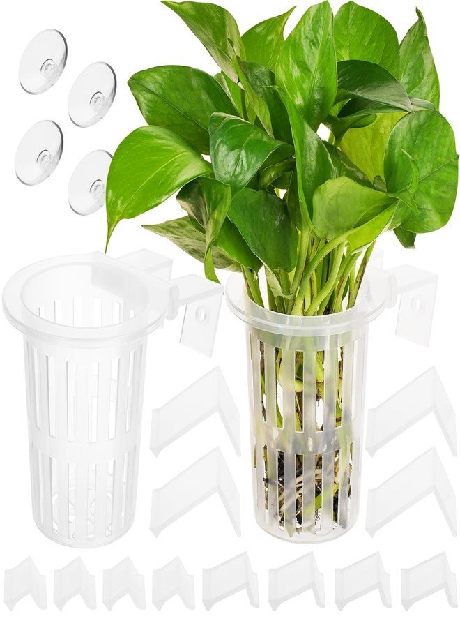 Borlech 2025 New Upgraded Large Aquarium Plant Holder with 1.57-inch Extension Hooks and Suction Cups for Fish Tank Aquaponic Plant Cultivation and Aquascape Accessories Decorations (2 PCS) Transparent - Image 1